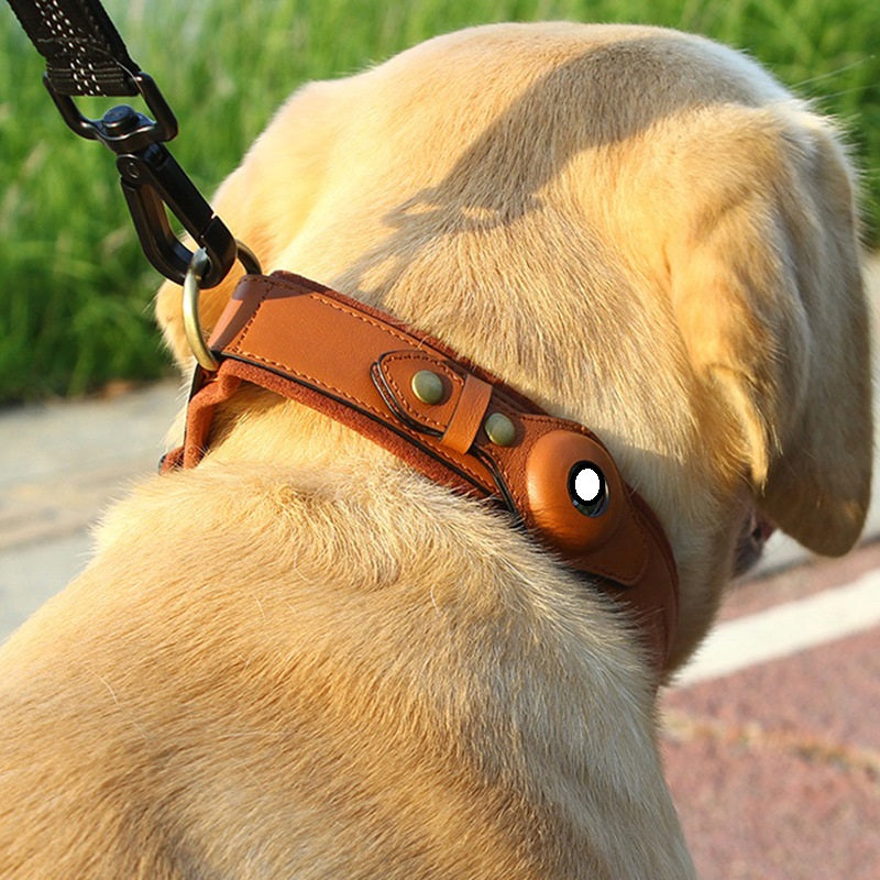LiveTracking Lederhalsband für Hunde