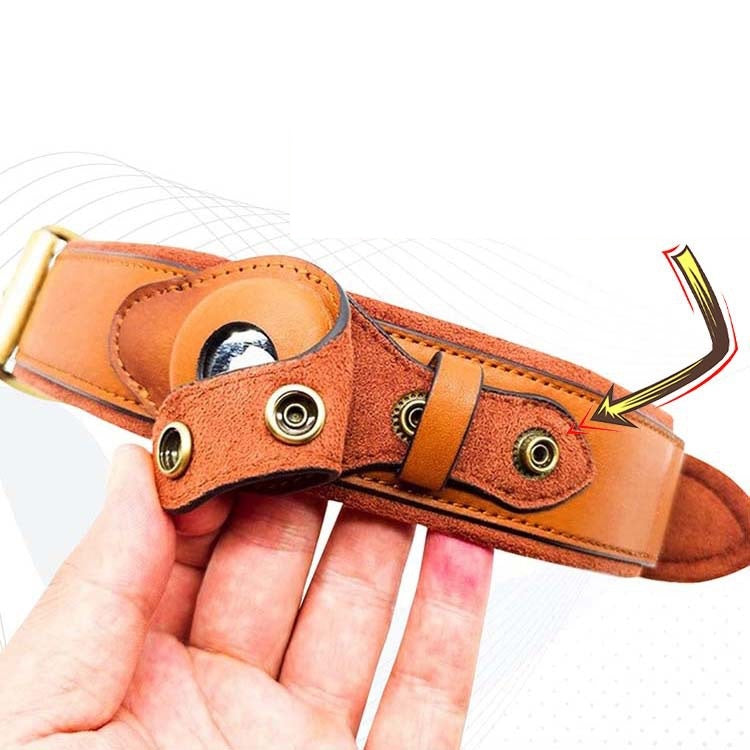 LiveTracking Lederhalsband für Hunde